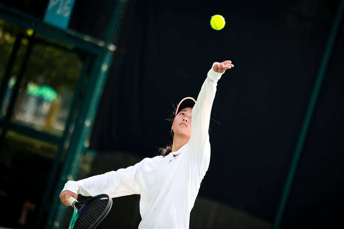 发挥关键作 发挥关键作